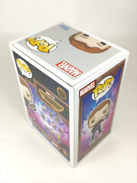 【箱傷】 スターロード 蓄光版 [ガーディアンズ・オブ・ザ・ギャラクシー VOL.3] FUNKO(ファンコ) POP! 1201