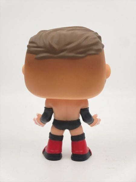 フィン・ベイラー [WWE] FUNKO(ファンコ) POP! WWE 34