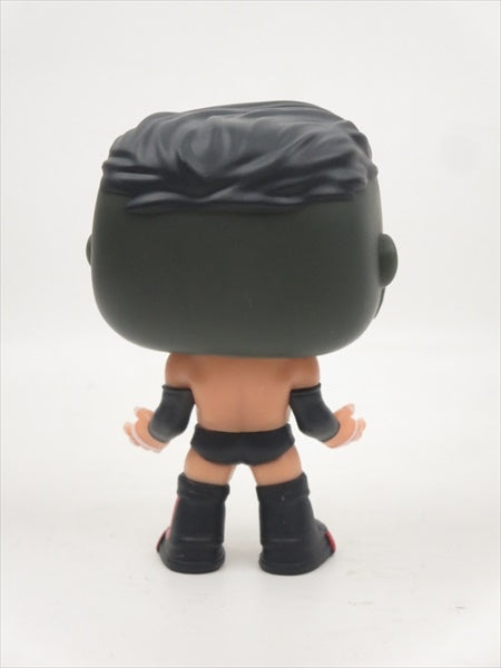 フィン・ベイラー [WWE] FUNKO(ファンコ) POP! WWE 34