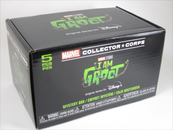 アイ・アム・グルート FUNKO COLLECTOR CORPボックス [I AM GROOT] FUNKO POP!(ファンコ)