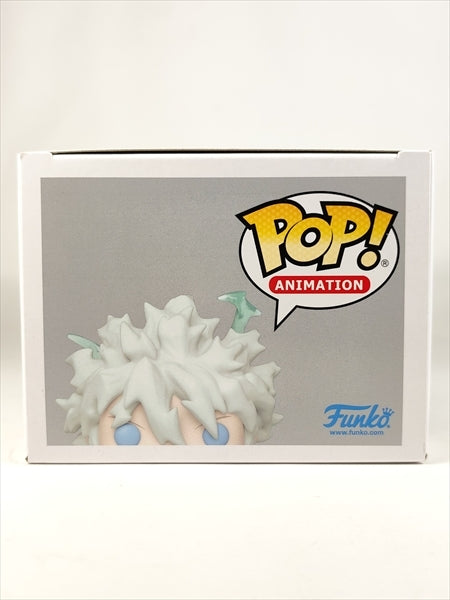 キルア・ゾルディック CHASE蓄光版 [ハンター×ハンター] FUNKO(ファンコ) POP! ANIMATION 1106