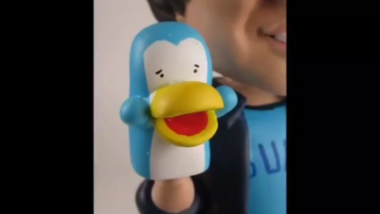 動画を読み込む: 